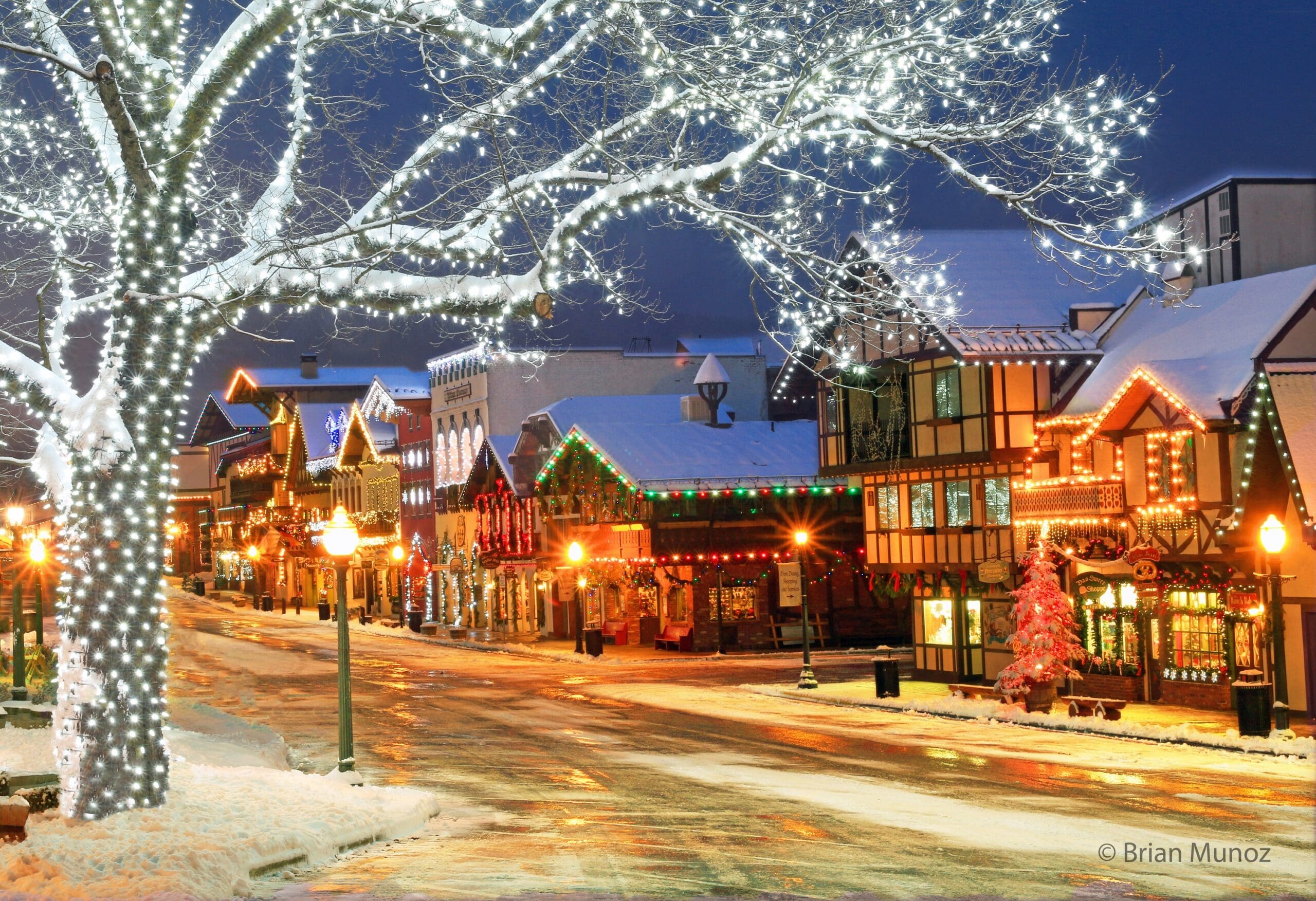 winter-holiday-1